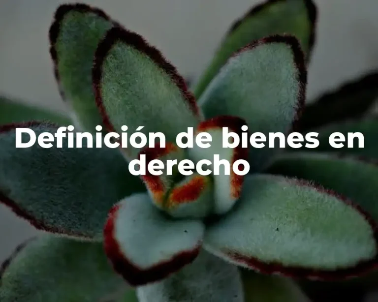 Definición de bienes en derecho