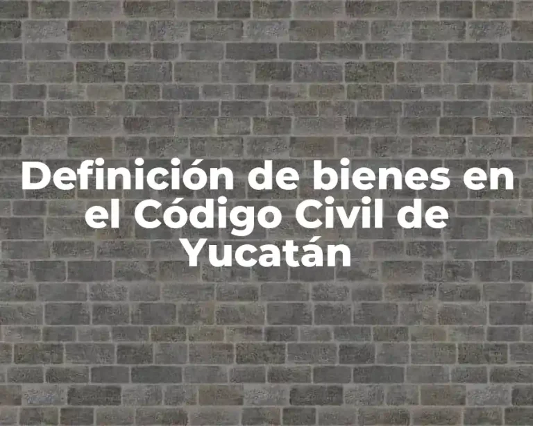 Definición de bienes en el Código Civil de Yucatán