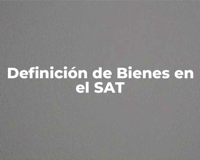 Definición de Bienes en el SAT