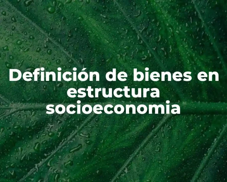 Definición de bienes en estructura socioeconomia