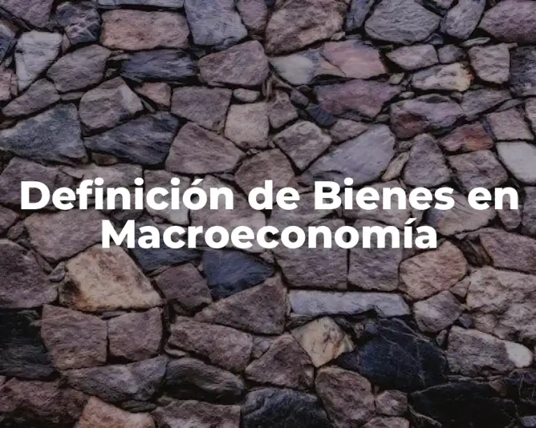 Definición de Bienes en Macroeconomía