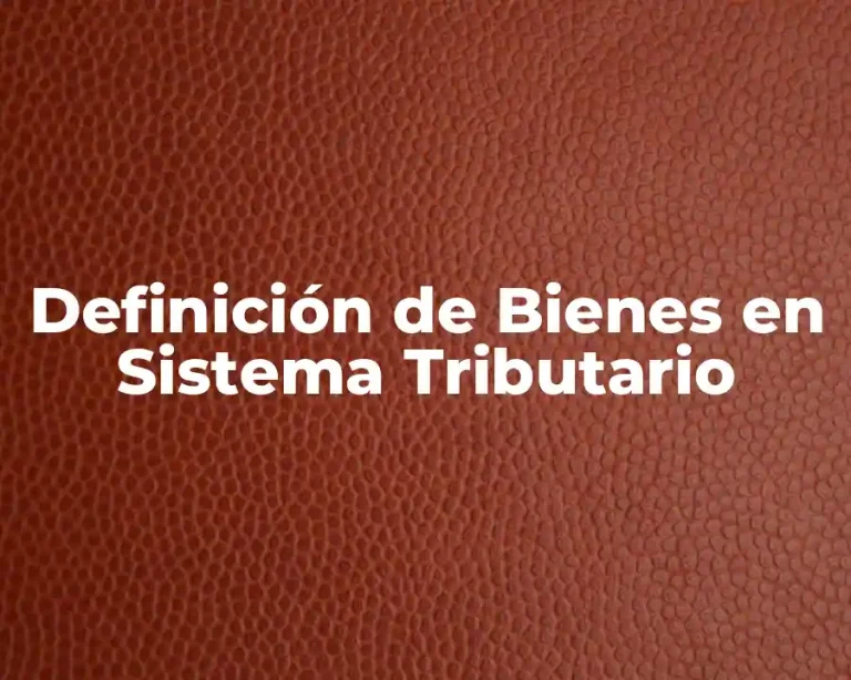 Definición de Bienes en Sistema Tributario