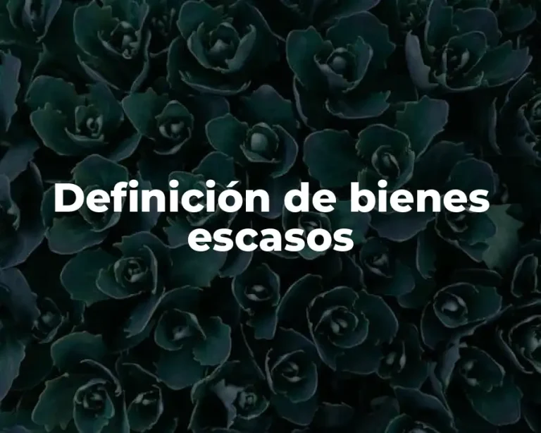 Definición de bienes escasos