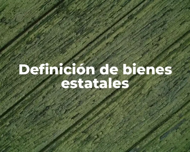 Definición de bienes estatales