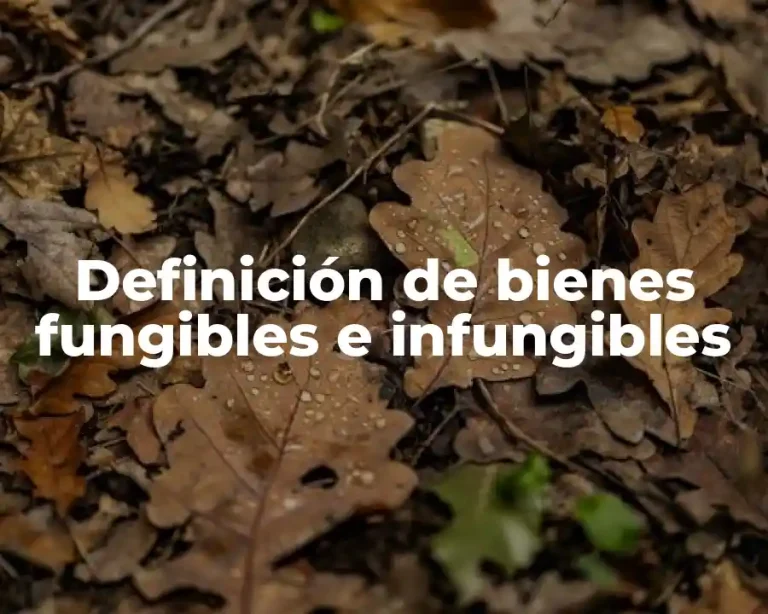 Definición de bienes fungibles e infungibles