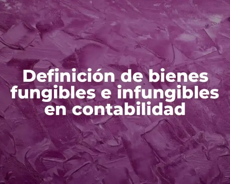 Definición de bienes fungibles e infungibles en contabilidad