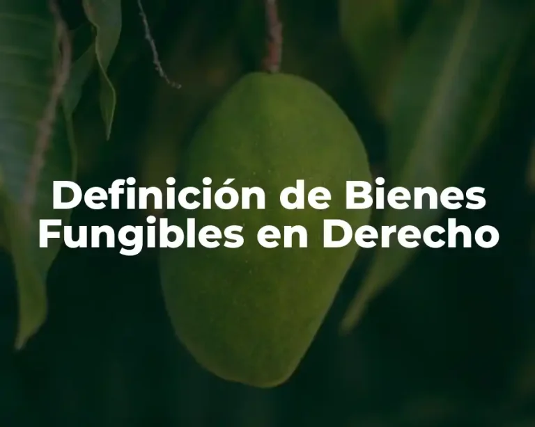 Definición de Bienes Fungibles en Derecho