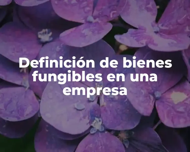 Definición de bienes fungibles en una empresa