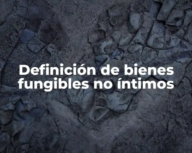 Definición de bienes fungibles no íntimos