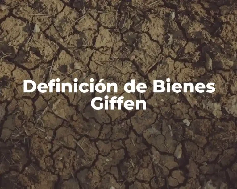 Definición de Bienes Giffen