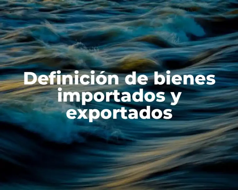 Definición de bienes importados y exportados