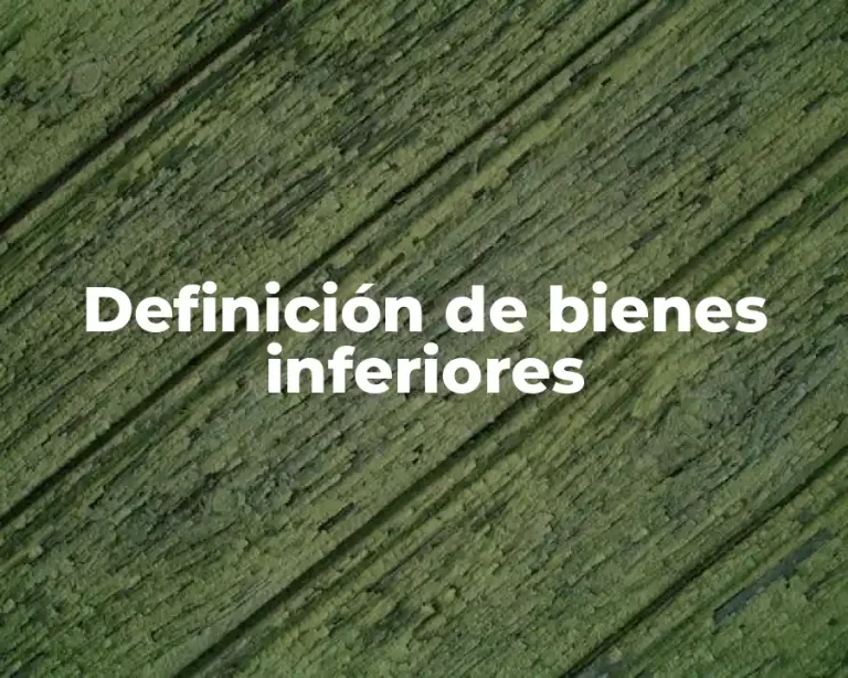 Definición de bienes inferiores
