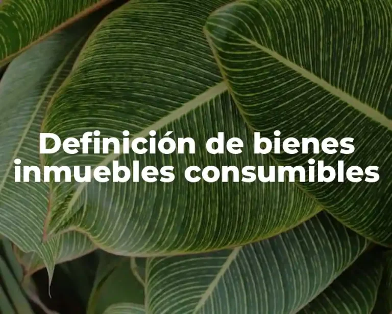 Definición de bienes inmuebles consumibles