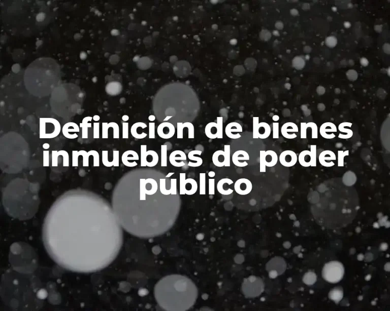 Definición de bienes inmuebles de poder público