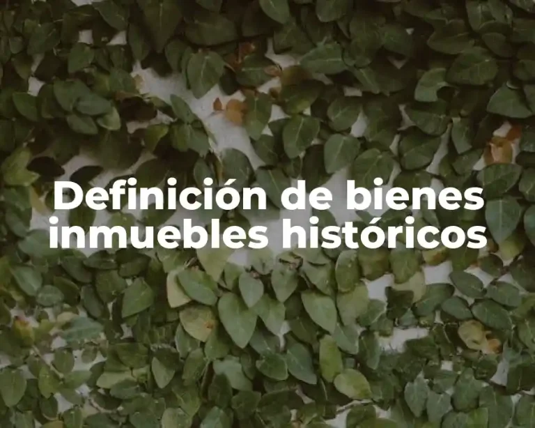 Definición de bienes inmuebles históricos
