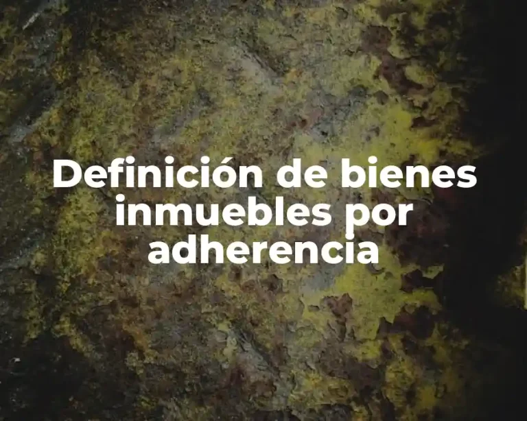 Definición de bienes inmuebles por adherencia