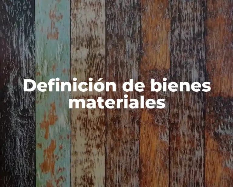 Definición de bienes materiales