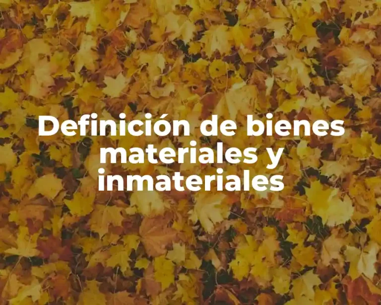 Definición de bienes materiales y inmateriales