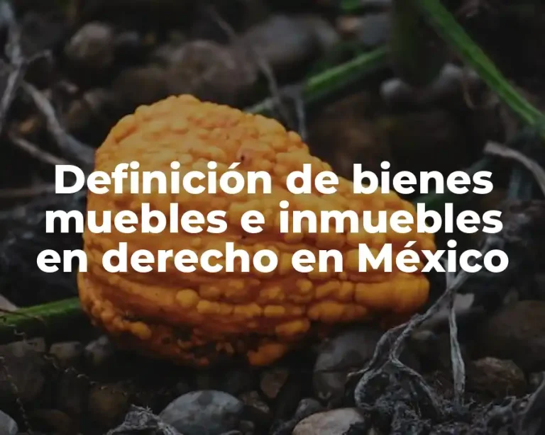 Definición de bienes muebles e inmuebles en derecho en México