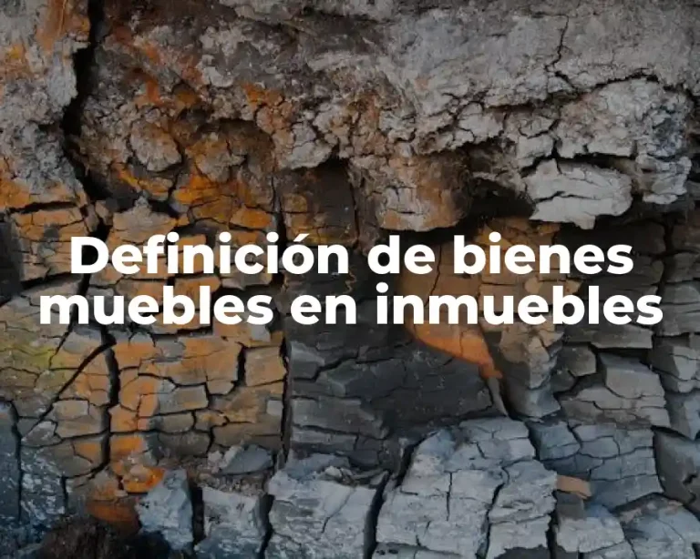 Definición de bienes muebles en inmuebles