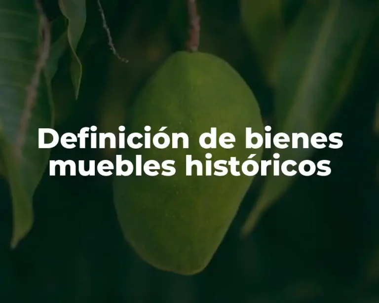 Definición de bienes muebles históricos