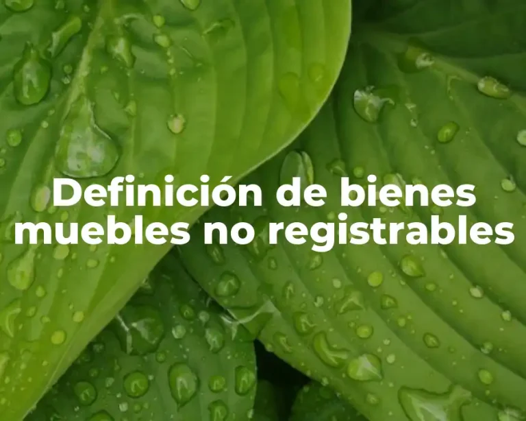 Definición de bienes muebles no registrables