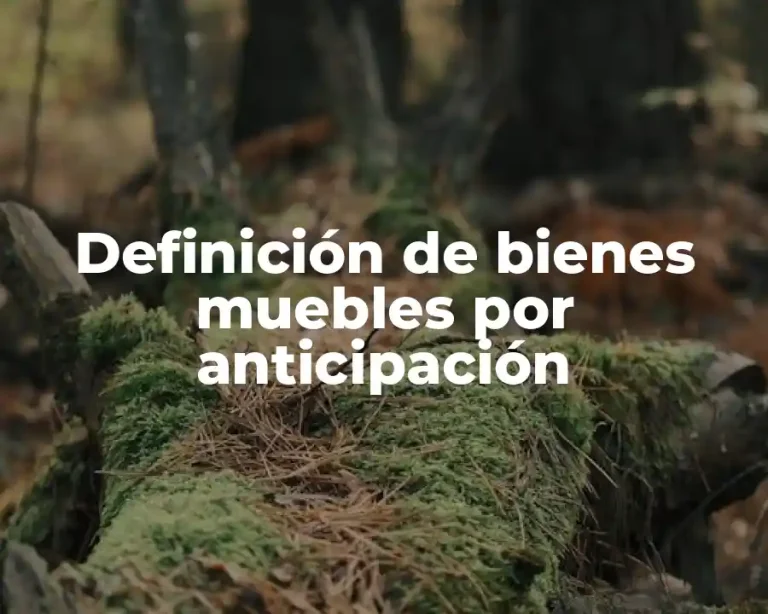 Definición de bienes muebles por anticipación