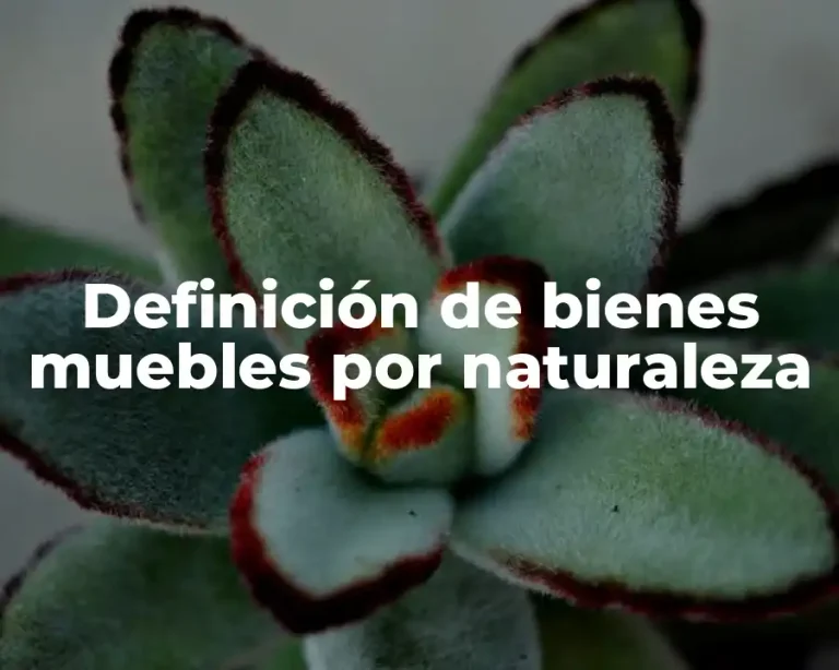 Definición de bienes muebles por naturaleza