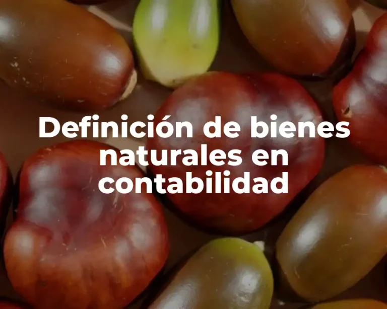 Definición de bienes naturales en contabilidad