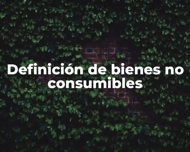 Definición de bienes no consumibles