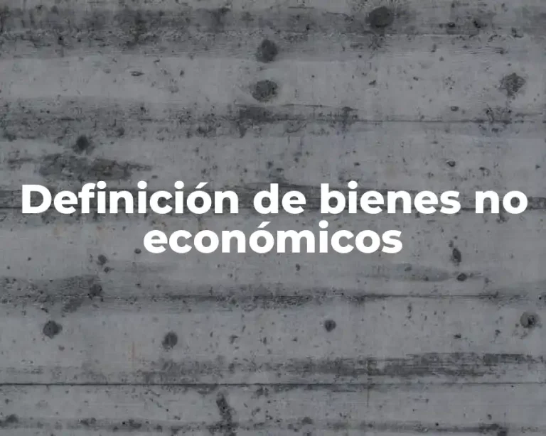 Definición de bienes no económicos