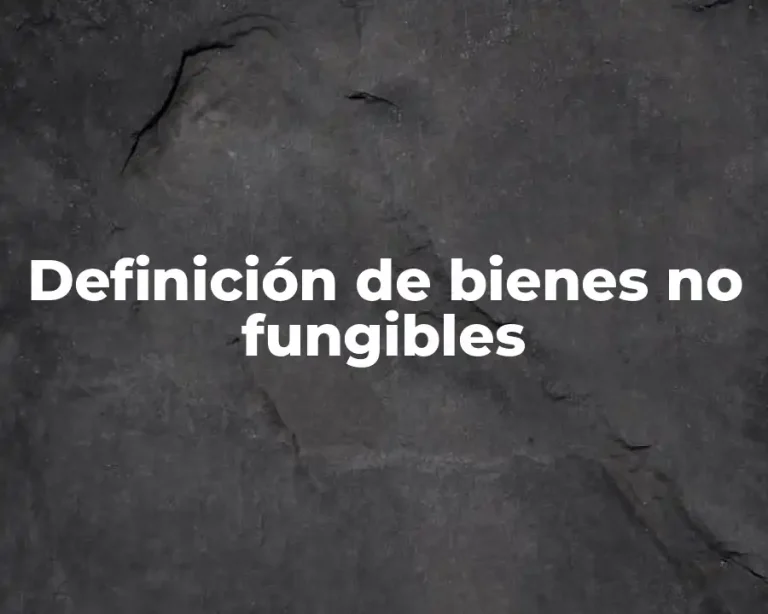 Definición de bienes no fungibles