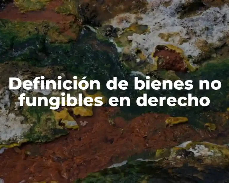 Definición de bienes no fungibles en derecho