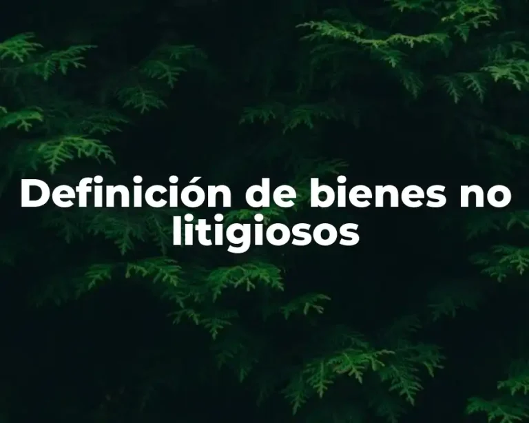 Definición de bienes no litigiosos
