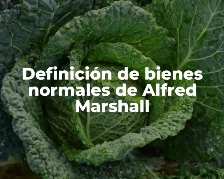 Definición de bienes normales de Alfred Marshall