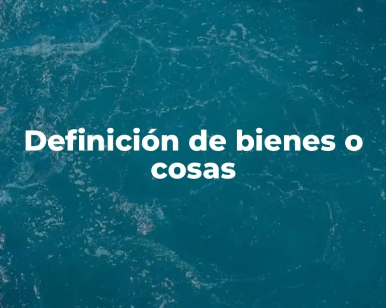 Definición de bienes o cosas