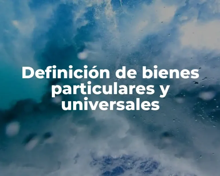 Definición de bienes particulares y universales