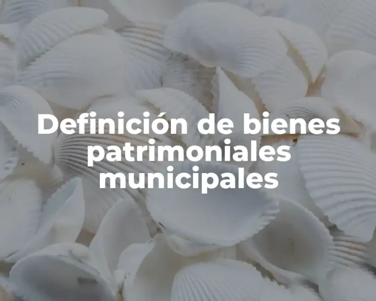 Definición de bienes patrimoniales municipales