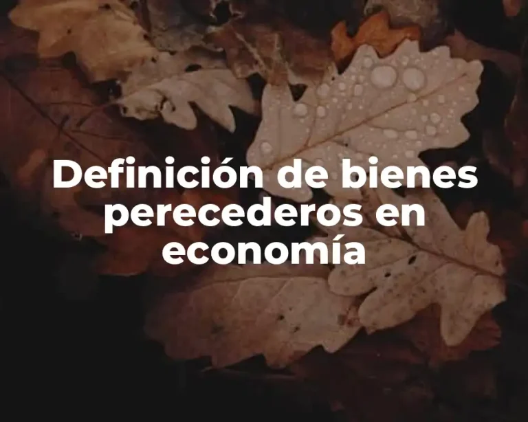 Definición de bienes perecederos en economía