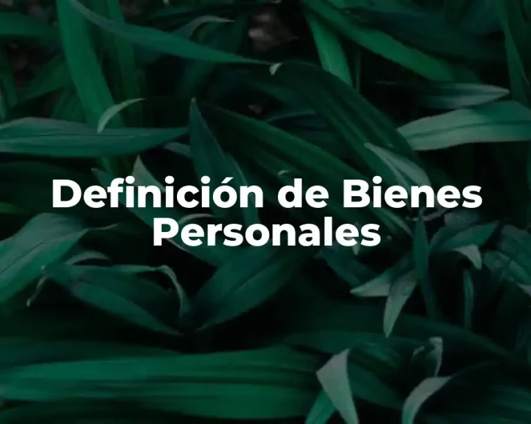 Definición de Bienes Personales