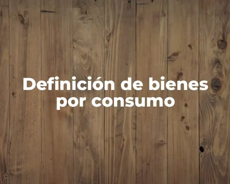 Definición de bienes por consumo