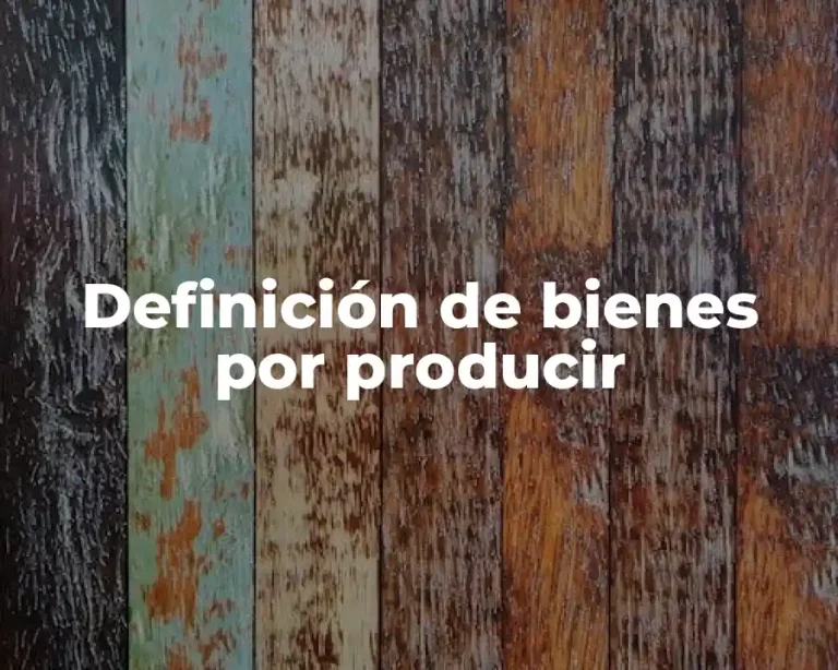 Definición de bienes por producir