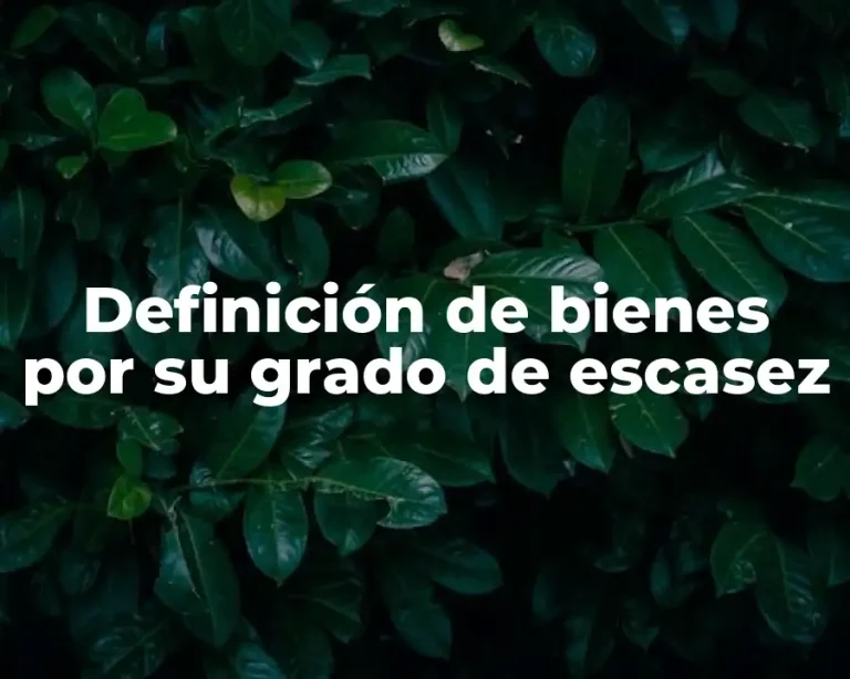 Definición de bienes por su grado de escasez