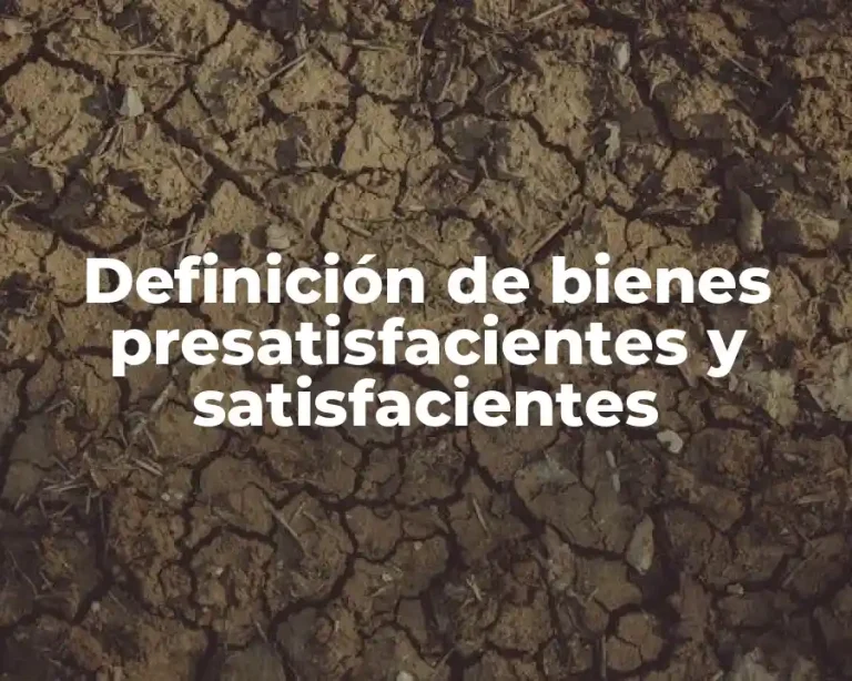 Definición de bienes presatisfacientes y satisfacientes
