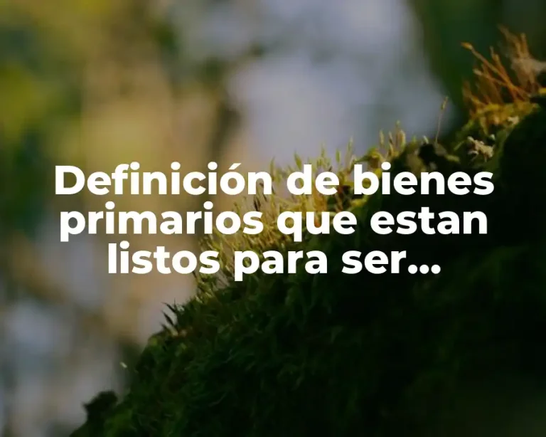 Definición de bienes primarios que estan listos para ser consumidos