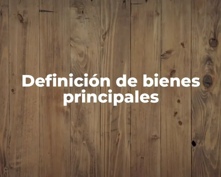Definición de bienes principales
