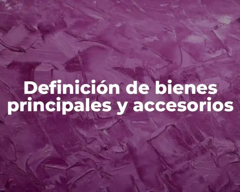 Definición de bienes principales y accesorios