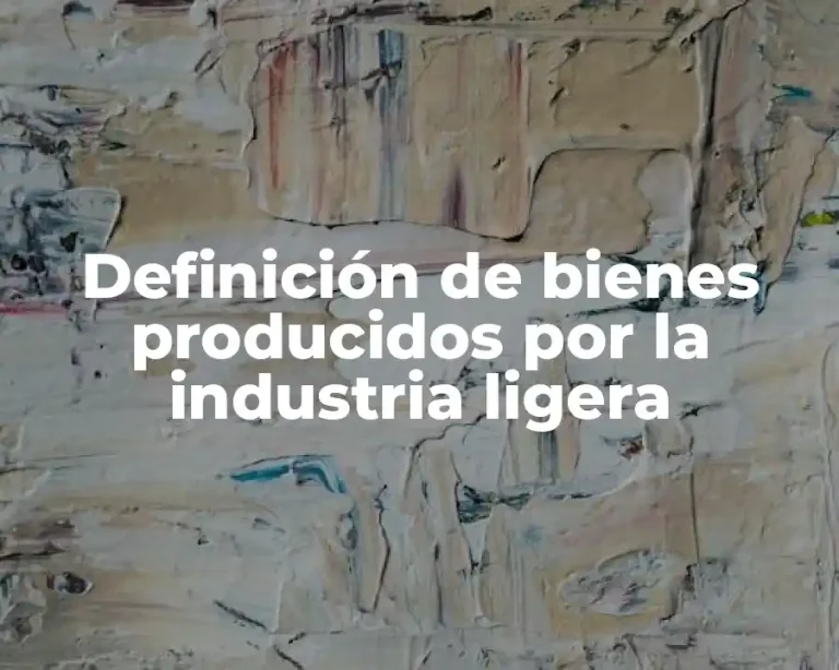 Definición de bienes producidos por la industria ligera