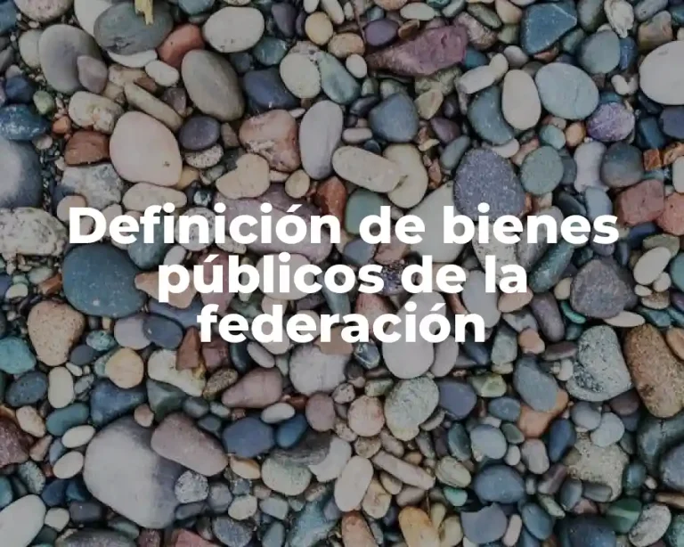 Definición de bienes públicos de la federación