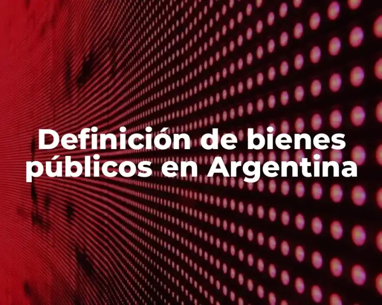 Definición de bienes públicos en Argentina